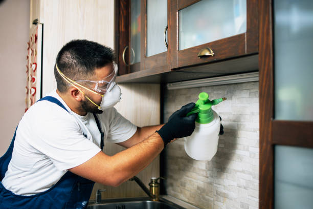 Best Emergency Pest Control  in , VA