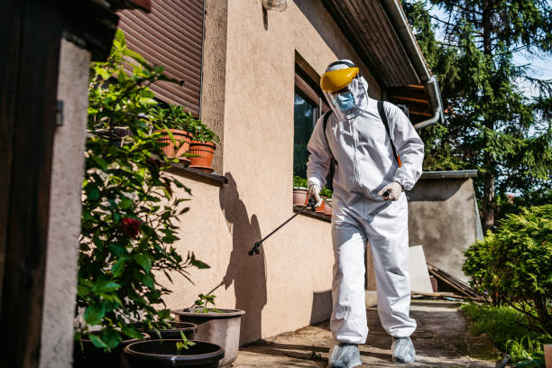 Best Mosquito Control Services  in , VA