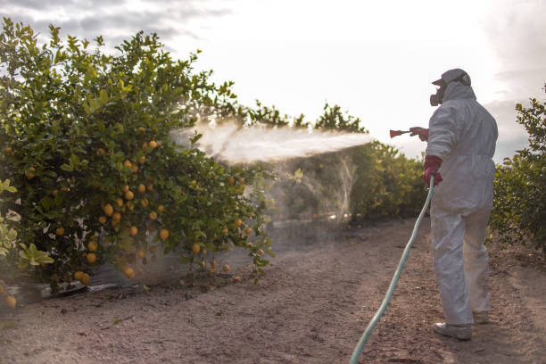 Best Commercial Pest Control Services  in , VA